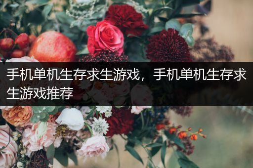 手机单机生存求生游戏，手机单机生存求生游戏推荐