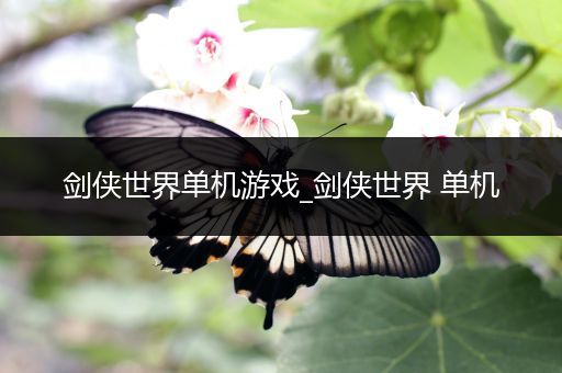 剑侠世界单机游戏_剑侠世界 单机