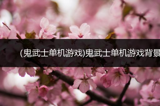 （鬼武士单机游戏)鬼武士单机游戏背景
