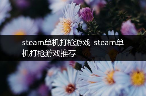 steam单机打枪游戏-steam单机打枪游戏推荐