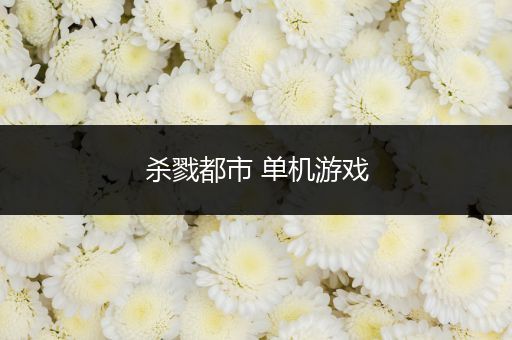 杀戮都市 单机游戏