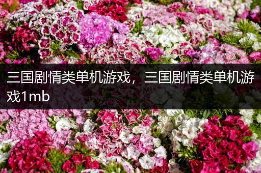 三国剧情类单机游戏，三国剧情类单机游戏1mb