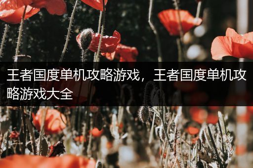 王者国度单机攻略游戏，王者国度单机攻略游戏大全