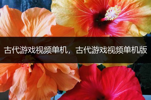 古代游戏视频单机，古代游戏视频单机版