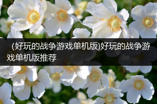 （好玩的战争游戏单机版)好玩的战争游戏单机版推荐