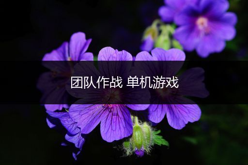 团队作战 单机游戏