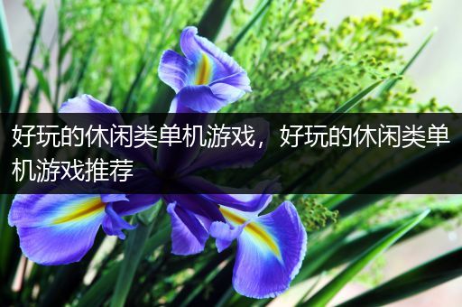 好玩的休闲类单机游戏，好玩的休闲类单机游戏推荐
