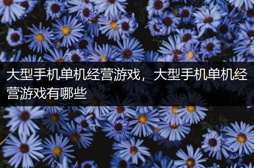大型手机单机经营游戏，大型手机单机经营游戏有哪些