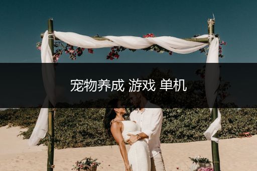 宠物养成 游戏 单机