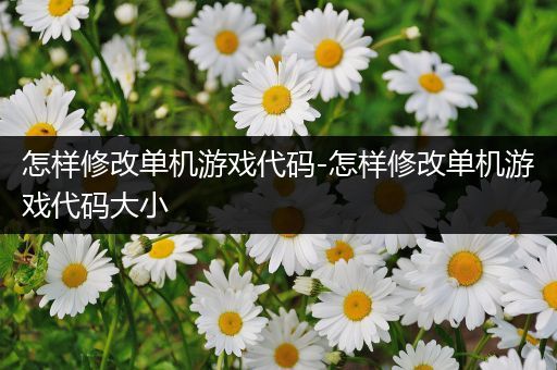 怎样修改单机游戏代码-怎样修改单机游戏代码大小