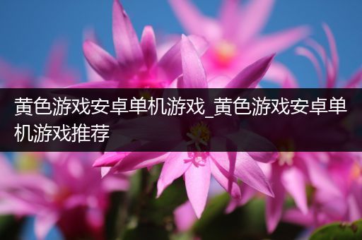 黄色游戏安卓单机游戏_黄色游戏安卓单机游戏推荐