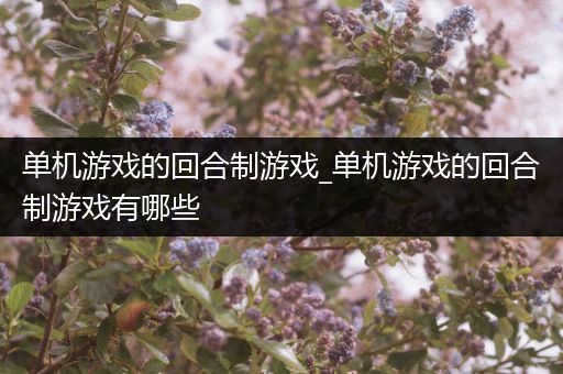 单机游戏的回合制游戏_单机游戏的回合制游戏有哪些