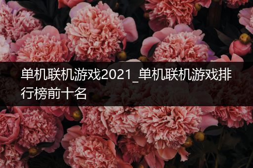 单机联机游戏2021_单机联机游戏排行榜前十名