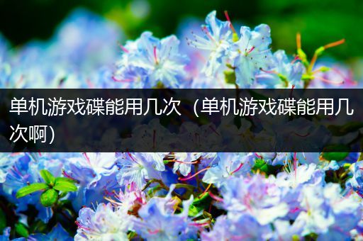 单机游戏碟能用几次（单机游戏碟能用几次啊）