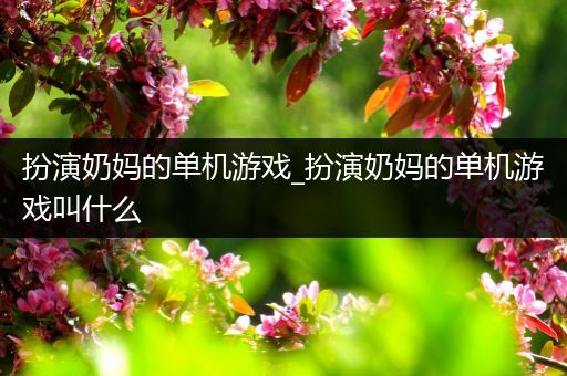 扮演奶妈的单机游戏_扮演奶妈的单机游戏叫什么