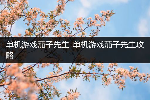 单机游戏茄子先生-单机游戏茄子先生攻略