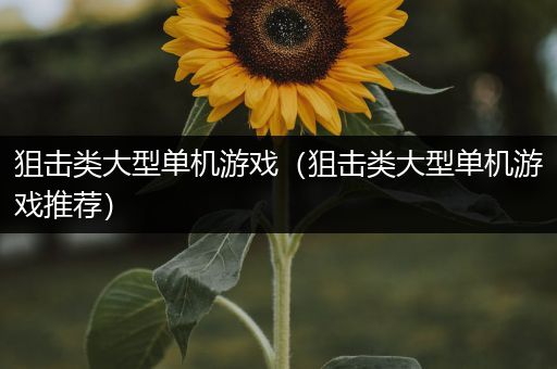 狙击类大型单机游戏（狙击类大型单机游戏推荐）