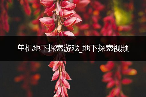 单机地下探索游戏_地下探索视频