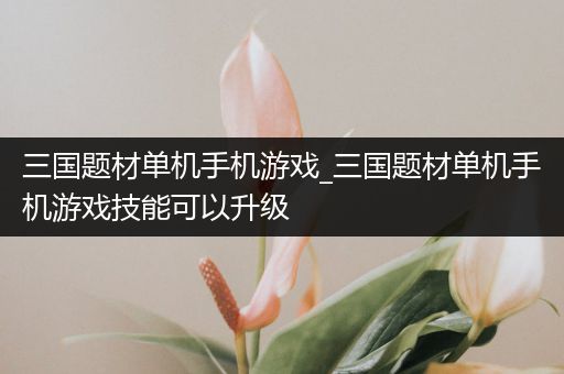 三国题材单机手机游戏_三国题材单机手机游戏技能可以升级