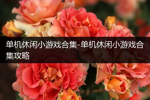 单机休闲小游戏合集-单机休闲小游戏合集攻略