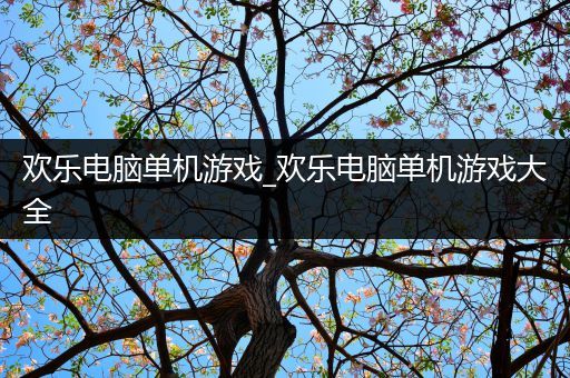 欢乐电脑单机游戏_欢乐电脑单机游戏大全