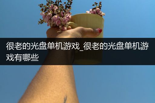 很老的光盘单机游戏_很老的光盘单机游戏有哪些