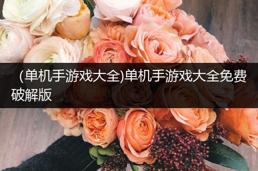 （单机手游戏大全)单机手游戏大全免费破解版