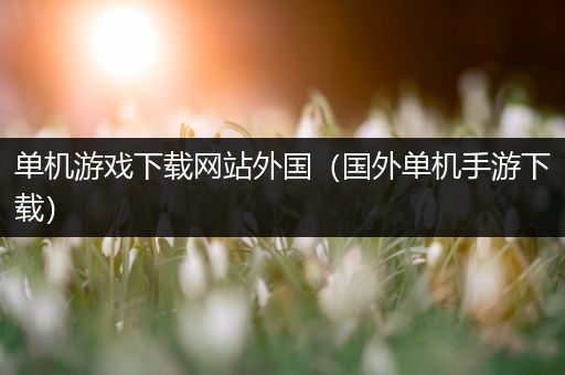 单机游戏下载网站外国（国外单机手游下载）