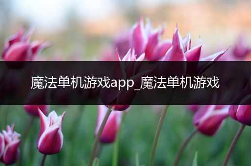 魔法单机游戏app_魔法单机游戏