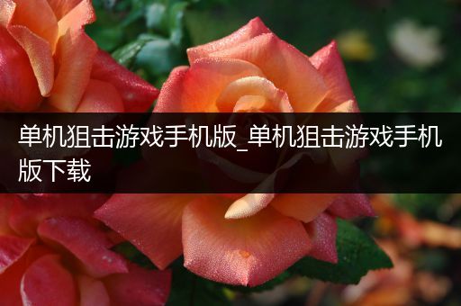 单机狙击游戏手机版_单机狙击游戏手机版下载