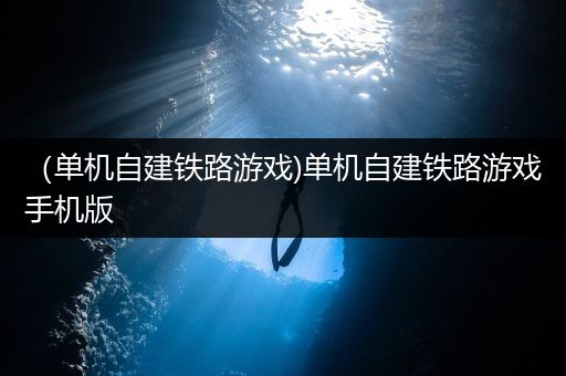 （单机自建铁路游戏)单机自建铁路游戏手机版