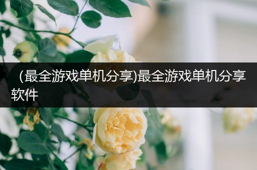 （最全游戏单机分享)最全游戏单机分享软件