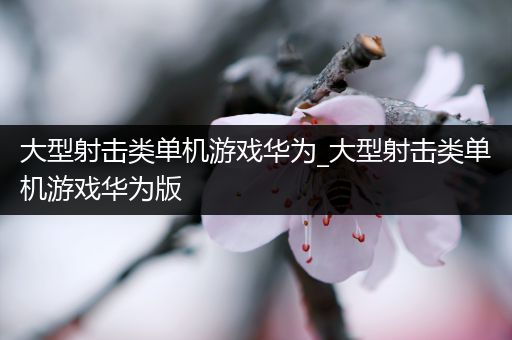 大型射击类单机游戏华为_大型射击类单机游戏华为版