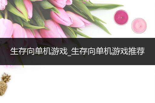 生存向单机游戏_生存向单机游戏推荐