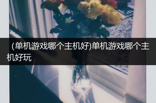 （单机游戏哪个主机好)单机游戏哪个主机好玩