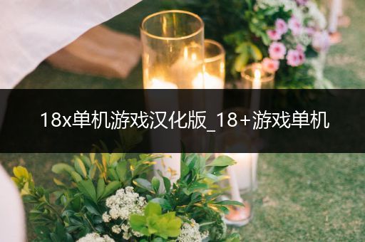 18x单机游戏汉化版_18+游戏单机