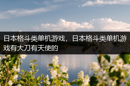 日本格斗类单机游戏，日本格斗类单机游戏有大刀有天使的
