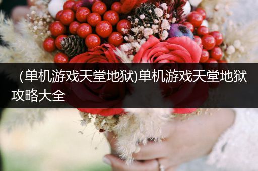 （单机游戏天堂地狱)单机游戏天堂地狱攻略大全