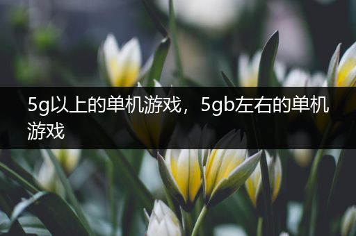 5g以上的单机游戏，5gb左右的单机游戏