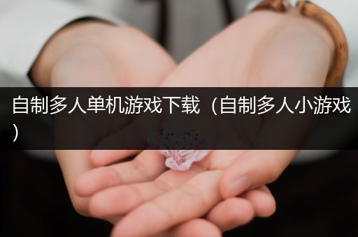 自制多人单机游戏下载（自制多人小游戏）