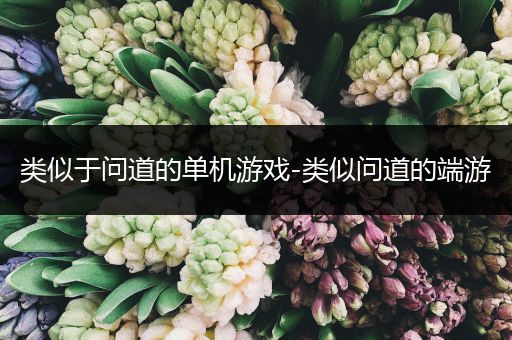 类似于问道的单机游戏-类似问道的端游