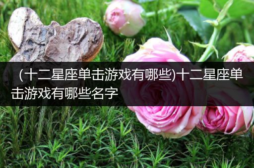 （十二星座单击游戏有哪些)十二星座单击游戏有哪些名字