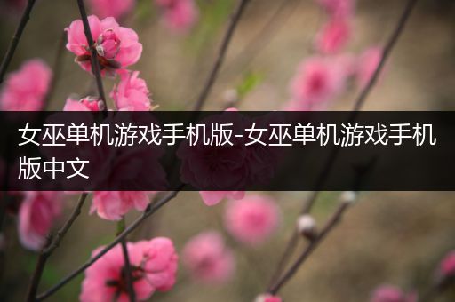 女巫单机游戏手机版-女巫单机游戏手机版中文