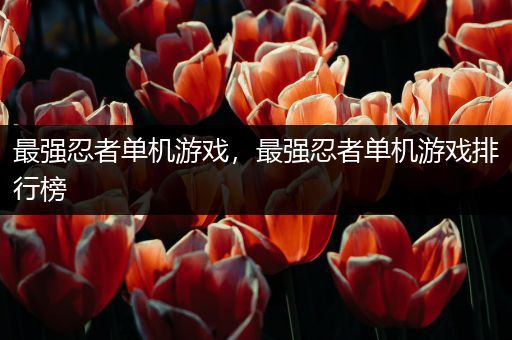 最强忍者单机游戏，最强忍者单机游戏排行榜