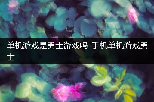 单机游戏是勇士游戏吗-手机单机游戏勇士
