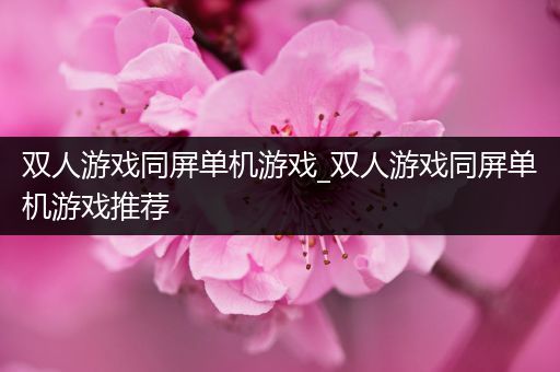 双人游戏同屏单机游戏_双人游戏同屏单机游戏推荐