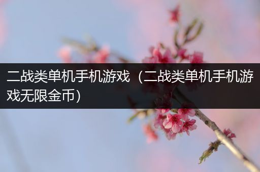 二战类单机手机游戏（二战类单机手机游戏无限金币）