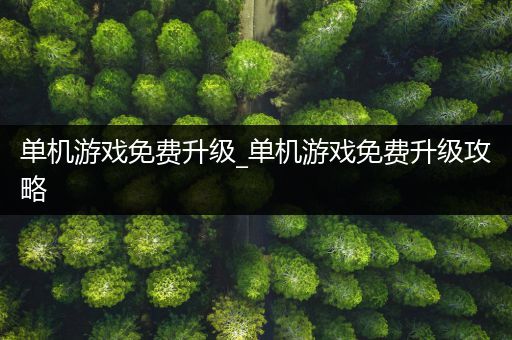 单机游戏免费升级_单机游戏免费升级攻略