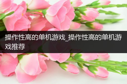 操作性高的单机游戏_操作性高的单机游戏推荐