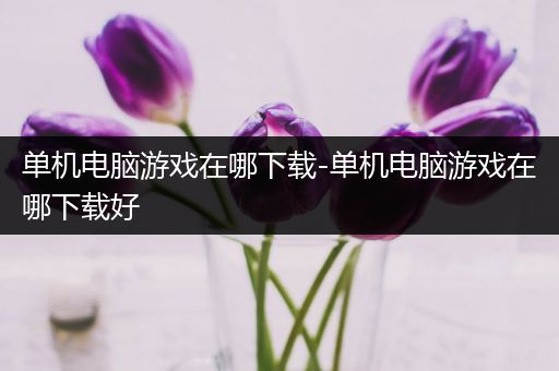 单机电脑游戏在哪下载-单机电脑游戏在哪下载好
